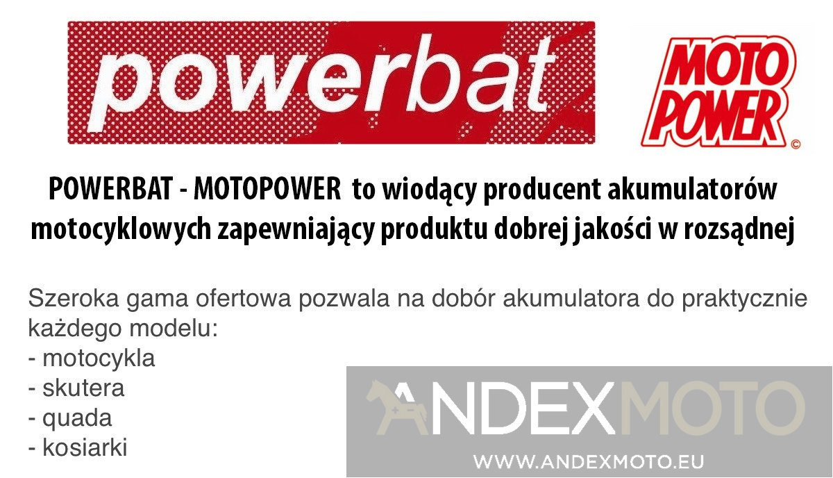 Battery 6 V 11 Ah POWERBAT 6N11-2D