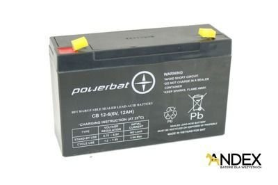 Battery  6 V  12 Ah VRLA